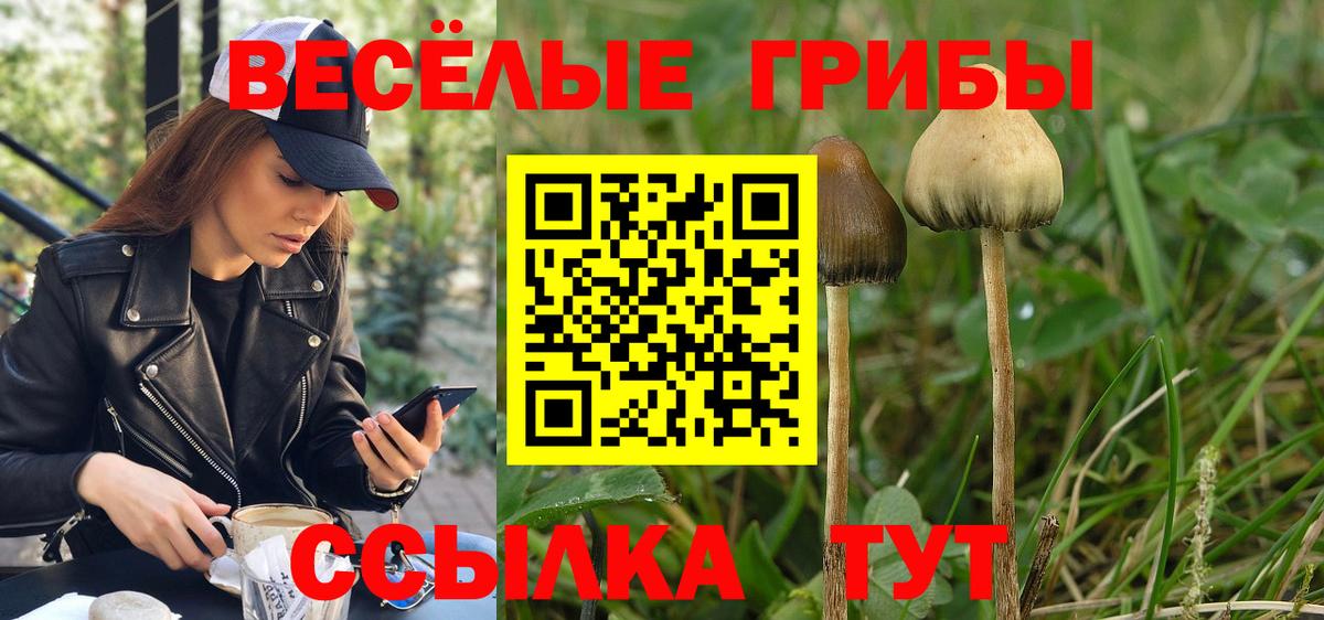 Псилоцибиновые грибы MAGIC MUSHROOMS  Вход с VPN  Владикавказ 